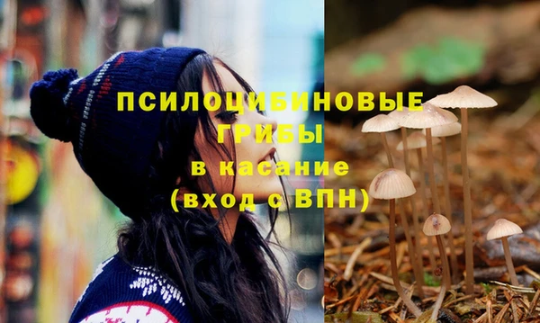 крисы Алексеевка